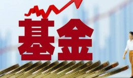 西安基金最新爆料信息,揭秘项目进展与未来规划